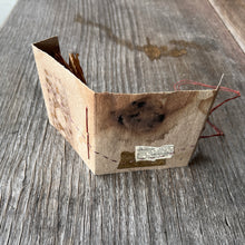 ecoprinted E books - enlighten, ephemeral
