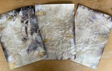 eco printed watercolour papers - set