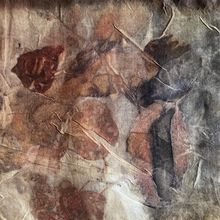 eco printed silk organza