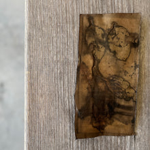 original ecoprints - bush walk