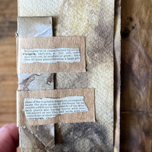 ecoprinted book/journal - exogen