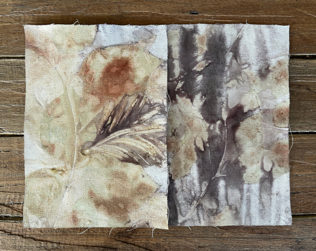 eco printed canvas sheets - set
