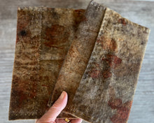 covered journal  - seasons