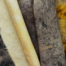 eco dyed/printed inspiration pack