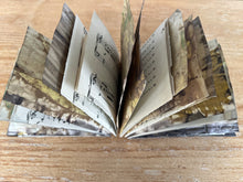 ecoprinted book/journal - twig
