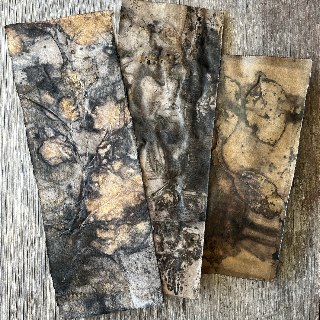 original ecoprints - bush walk